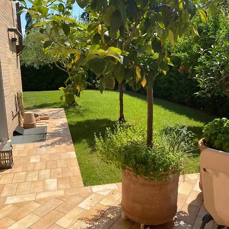 Marci Gasthuis Civitanova Marche